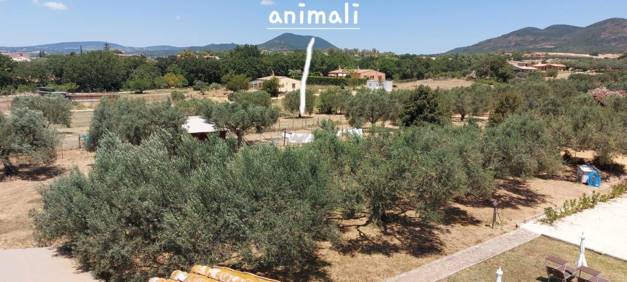Villa Klinai Cerveteri Eksteriør bilde