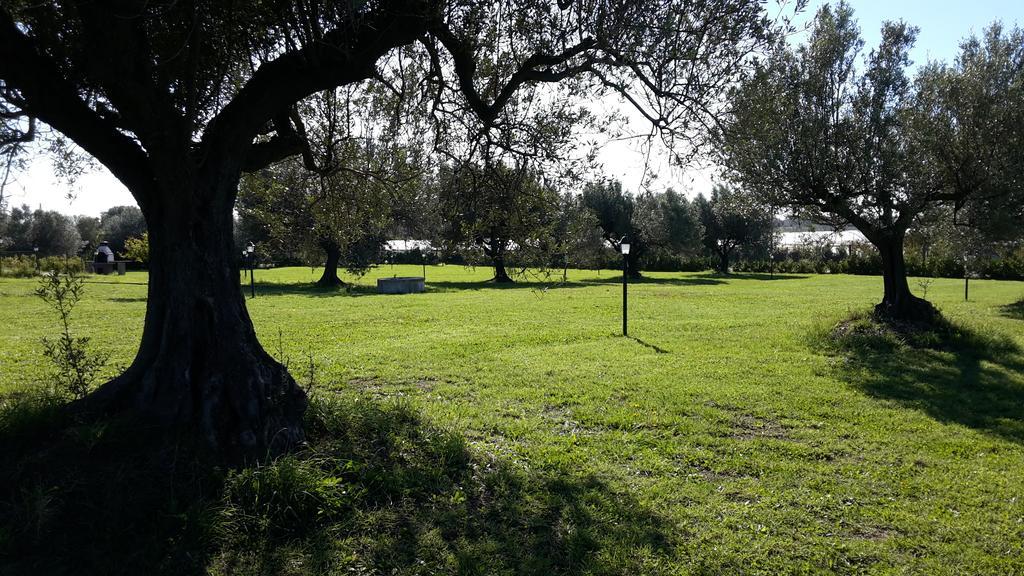 Villa Klinai Cerveteri Eksteriør bilde